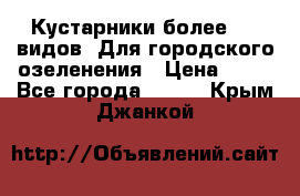 Кустарники более 100 видов. Для городского озеленения › Цена ­ 70 - Все города  »    . Крым,Джанкой